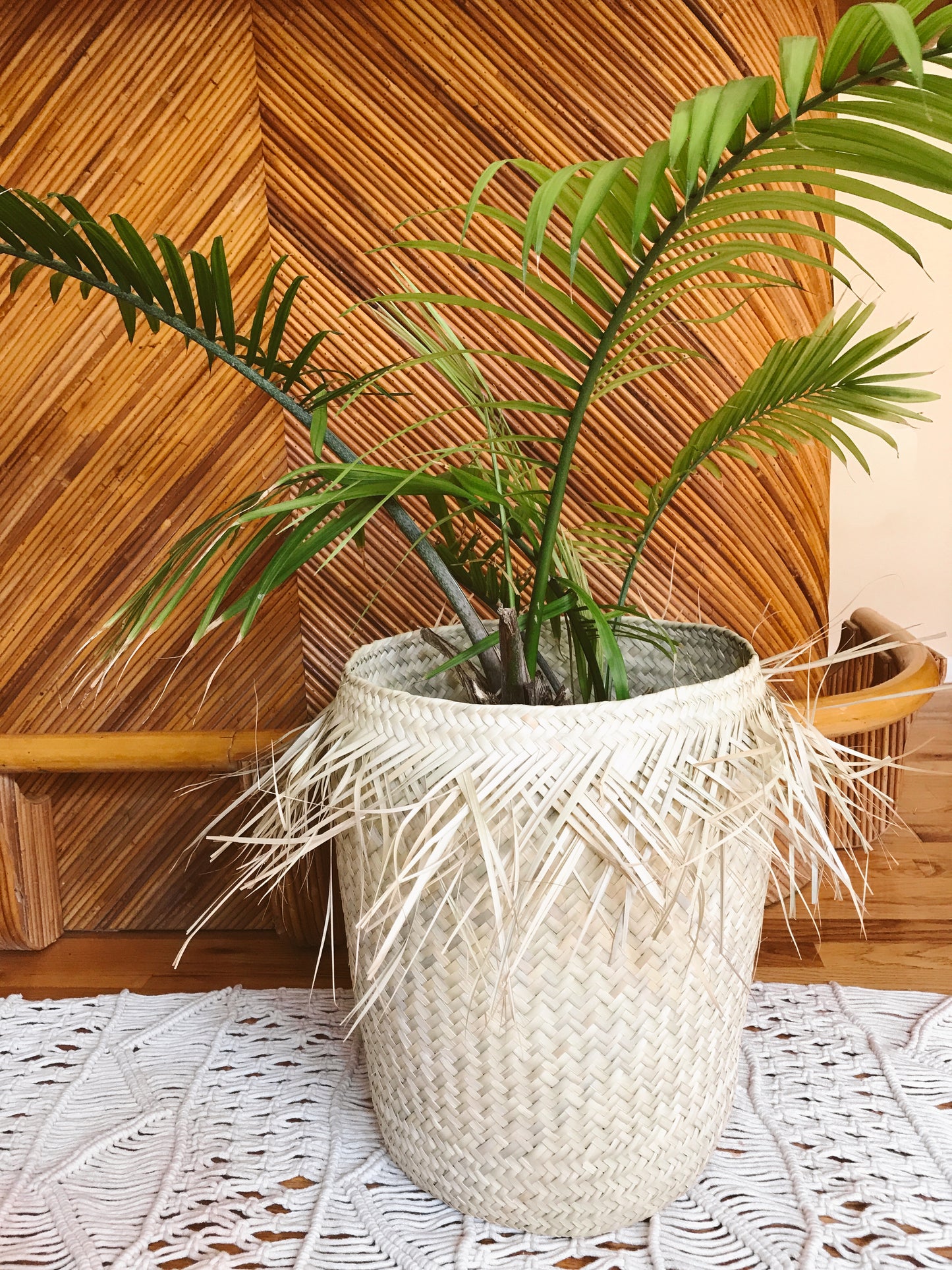 Fringe Palm Basket