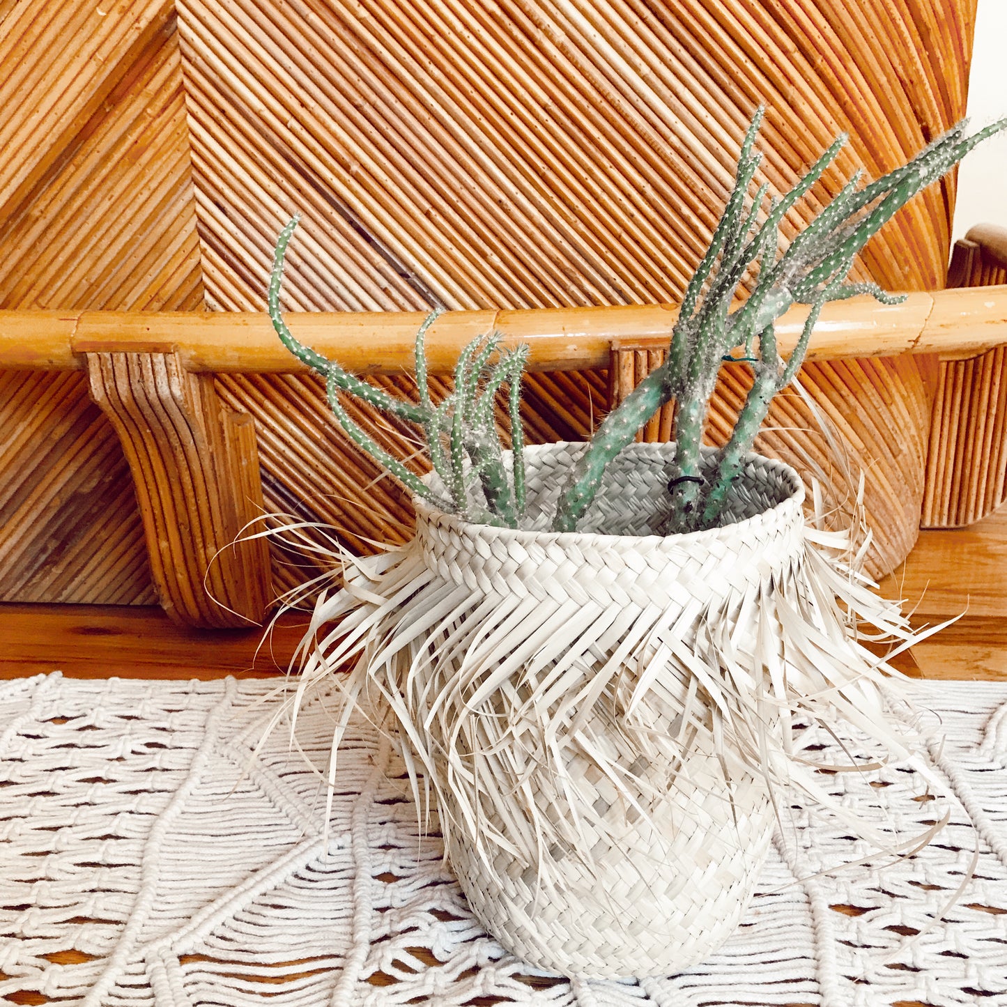 Fringe Palm Basket ~ Small